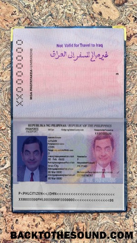 Scarica Filippine Passaporto Versione 2 Foto look Campione anteprima
