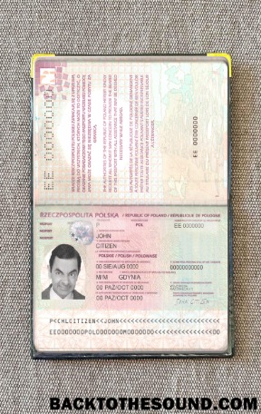 Scarica Polonia Passaporto (2011 2018) Foto look Campione design