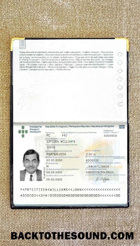 Scarica Portogallo Passaporto (2006 2017) Foto look Campione modello