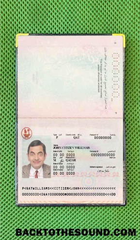 Scarica Qatar Passaporto Foto look Campione anteprima