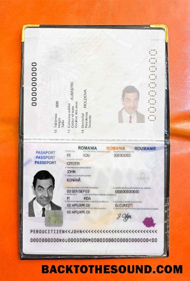 Scarica Romania Passaporto Foto look Campione design