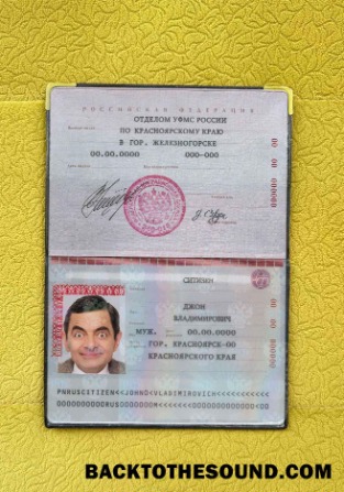 Scarica Russia standard Passaporto Foto look Campione design
