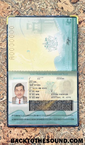 Scarica Saint Kitts and Nevis Passaporto Foto look Campione anteprima