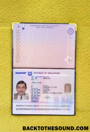 Scarica Singapore Nuovo Passaporto (2017+) Foto look Campione anteprima