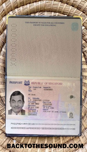 Scarica Singapore pass (2006 2017) Foto look Campione anteprima