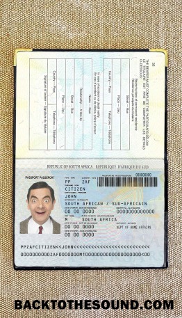 Scarica Sudafrica Passaporto (1996 2009) Foto look Campione anteprima