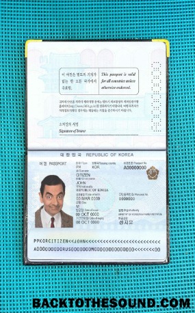 Scarica Corea del Sud Passaporto Foto look Campione design
