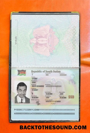 Scarica Sud Sudan Passaporto Foto look Campione anteprima