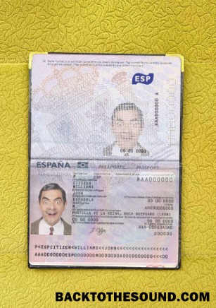 Scarica Spagna Passaporto from 2015 Foto look Campione campione