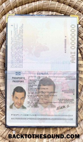Scarica Spagna till 2015 Passaporto Foto look Campione campione
