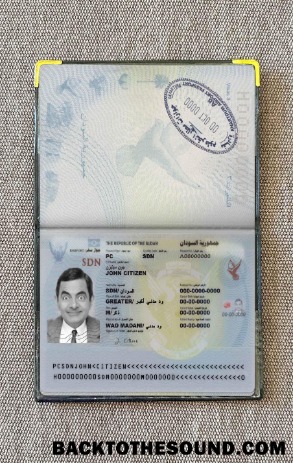 Scarica Sudan pass Foto look Campione mockup