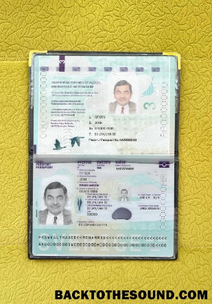 Scarica Svezia Passaporto Nuovo 2022 Presente foto-look Campione design