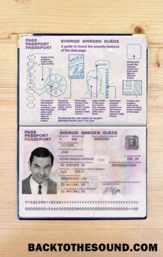 Scarica Svezia Passaporto Foto look Campione campione
