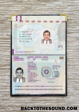 Scarica Svezia Passaporto Versione 2 Foto look Campione anteprima