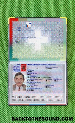 Scarica Svizzera Passaporto Foto look Campione modello