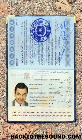 Scarica Siria Passaporto Foto look Campione mockup