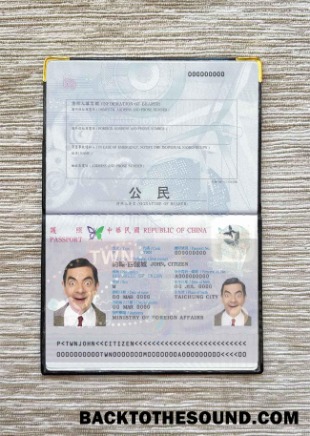 Scarica Taiwan Passaporto Foto look Campione anteprima