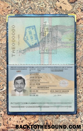 Scarica Tanzania Passaporto Nuovo 2019 Presente foto-look Campione mockup