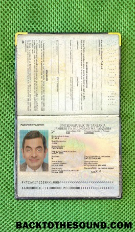 Scarica Tanzania Passaporto Foto look Campione design
