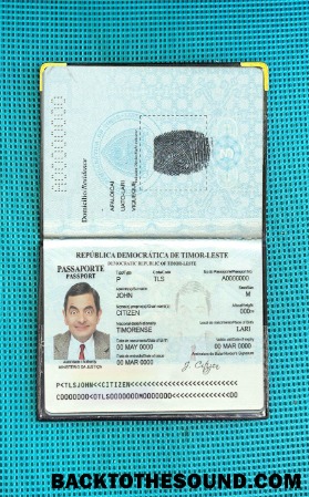 Scarica Timor Leste Passaporto Foto look Campione campione