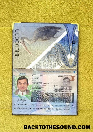 Scarica Trinidad e Tobago Passaporto Foto look Campione modello