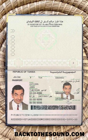 Scarica Tunisia Passaporto Foto look Campione mockup