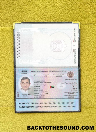 Scarica EAU Passaporto 2022 Presente foto-look Campione mockup