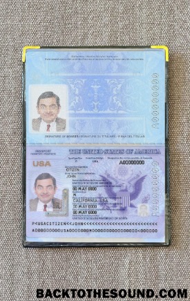 Scarica USA Passaporto 2020 2023 foto-look Campione design