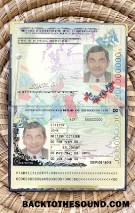 Scarica Regno Unito of Great Britain and Irlanda del Nord Passaporto (2015 2020) Foto look Campione campione