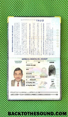 Scarica Uruguay Passaporto Foto look Campione campione