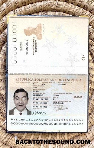 Scarica Venezuela Passaporto Foto look Campione campione