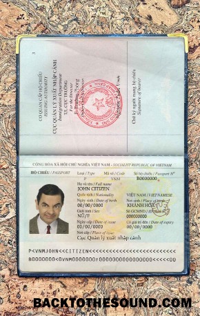 Scarica Vietnam Passaporto Foto look Campione design