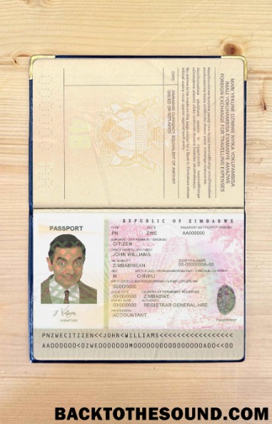 Scarica Zimbabwe Passaporto Foto look Campione modello