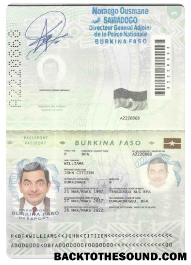 İndir Burkina Faso Pasaport in PSD Format, fully Düzenlenebilir (2008 – 2018) Örnek taslak