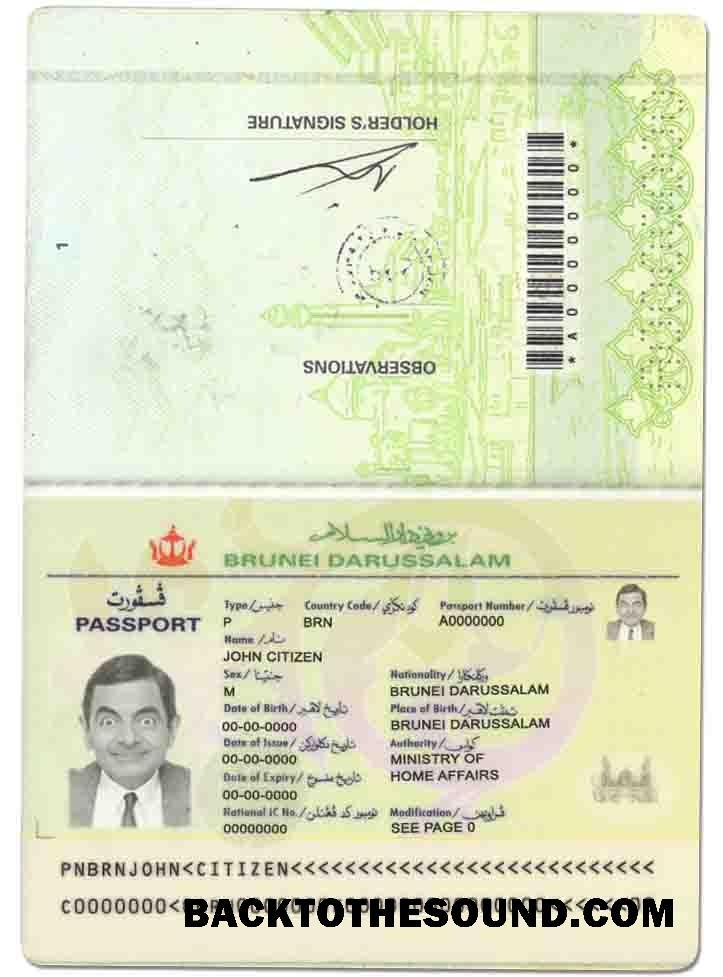İndir Brunei Pasaport Örnek ön izleme