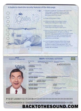İndir Estonya Pasaport Örnek tasarım