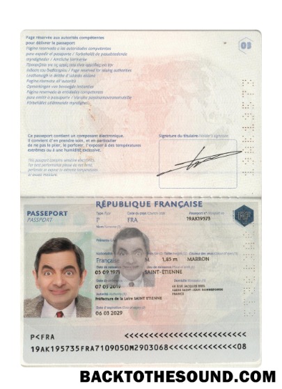 İndir Fransa Pasaport 2019 Mevcut Örnek taslak