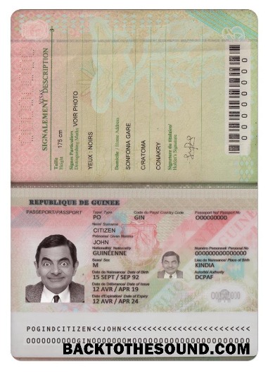 İndir Gine Pasaport (2018 Mevcut) Örnek örnek