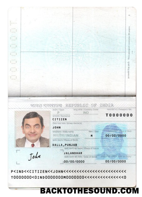 İndir Hindistan Pasaport Yeni Sürüm 2 pages 1 Örnek örnek