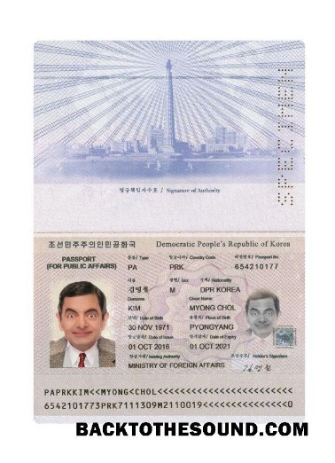 İndir Korea Pasaport 2016 Mevcut Örnek şablon
