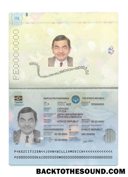 İndir Kırgızistan Pasaport 2021 Mevcut Örnek şablon