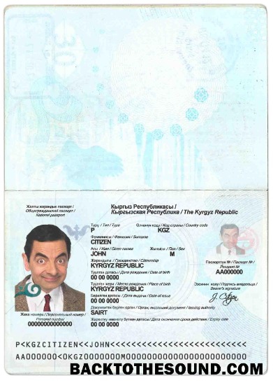 İndir Kırgızistan Pasaport Örnek ön izleme