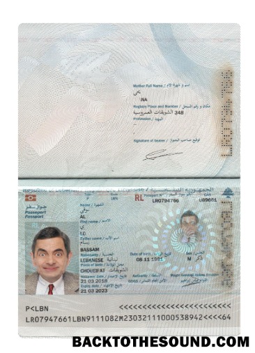 İndir Lübnan Pasaport 2018 Mevcut Örnek şablon