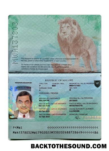 İndir Malavi Pasaport 2023 Mevcut Örnek ön izleme