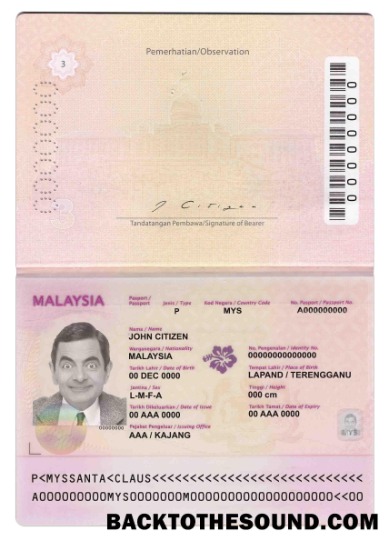 İndir Malezya Pasaport (2010 2017) Örnek tasarım