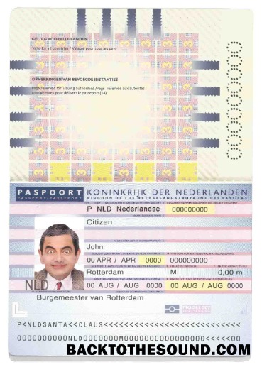 İndir Hollanda (Holland) Pasaport (2006 2016) Örnek tasarım