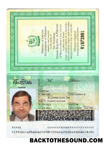İndir Pakistan Pasaport 2023 Mevcut Sürüm 2 Örnek tasarım