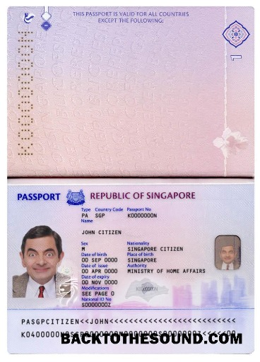 İndir Singapur Yeni pass (2017+) Örnek örnek