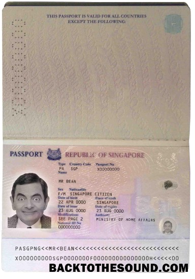 İndir Singapur pass (2006 2017) Örnek taslak