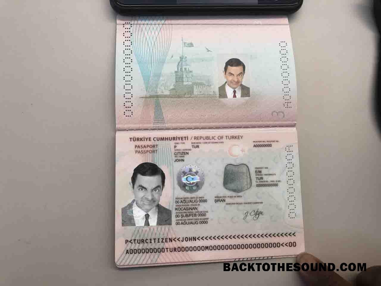 İndir Türkiye Pasaport in PSD Format, fully Düzenlenebilir (+Düzenlenebilir PSD Fotoğraf look) (2018 – Mevcut) Örnek şablon